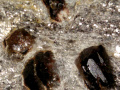 438b