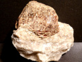 455b