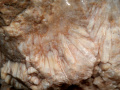 465b