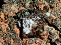 493c