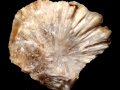 507a
