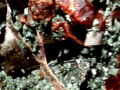 547c