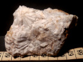 551b