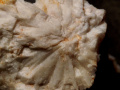 551c