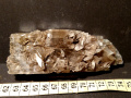 569a