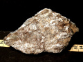 590b
