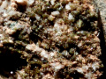 608d