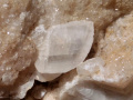 620b
