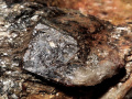 629b