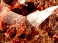 650c