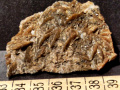 654a