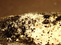 1246d
