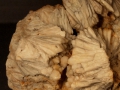 1665c
