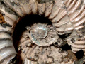 166d