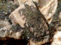 173c