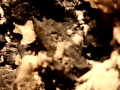 191c
