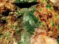 xc291b
