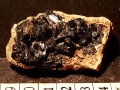 447a