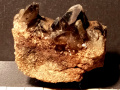 xv462a