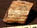 xv463b