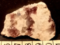 482
