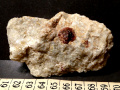 xc221a
