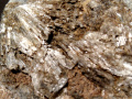 xc237c