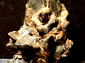 xc241a