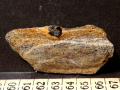 xc244a