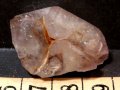xv317a