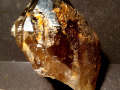xv384a