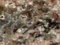 xc161b