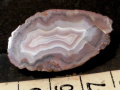 xs69a
