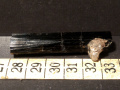 xv243a