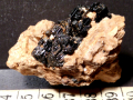 xv98a