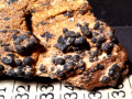 466b