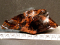 469a