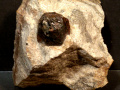 520b