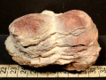 523b