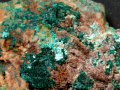 529c
