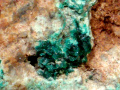 529e