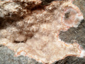 543c