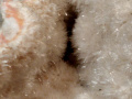 543e