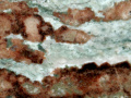 544c