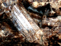 598b