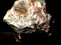 803c