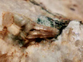 806c