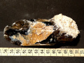 810c
