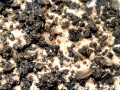 819b