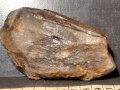 831c